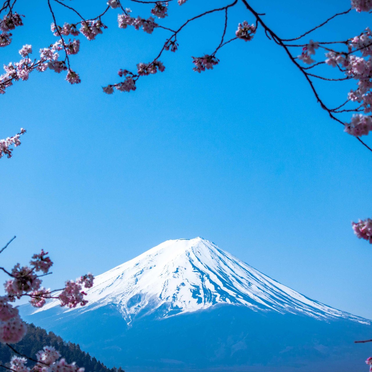 安心のオール日本製（日本のイメージ富士山）