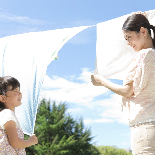 植物由来のポリ乳酸使用