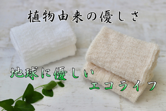植物由来の優しさ地球に優しいエコライフ