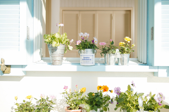 植物のやさしさ